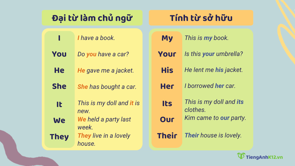 Tính từ sở hữu